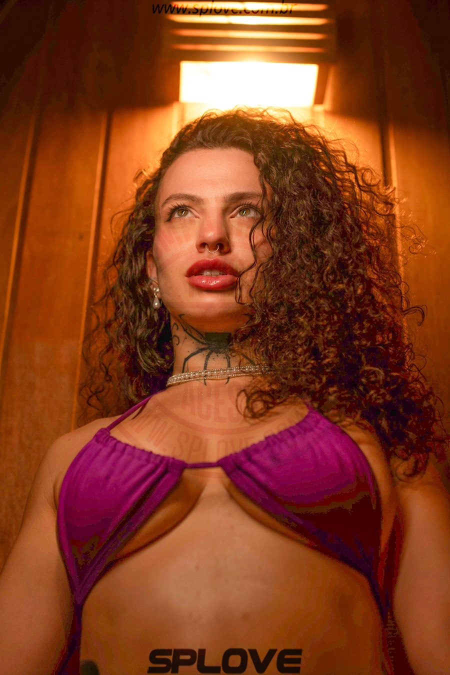 ADA ARANHA - Foto 13